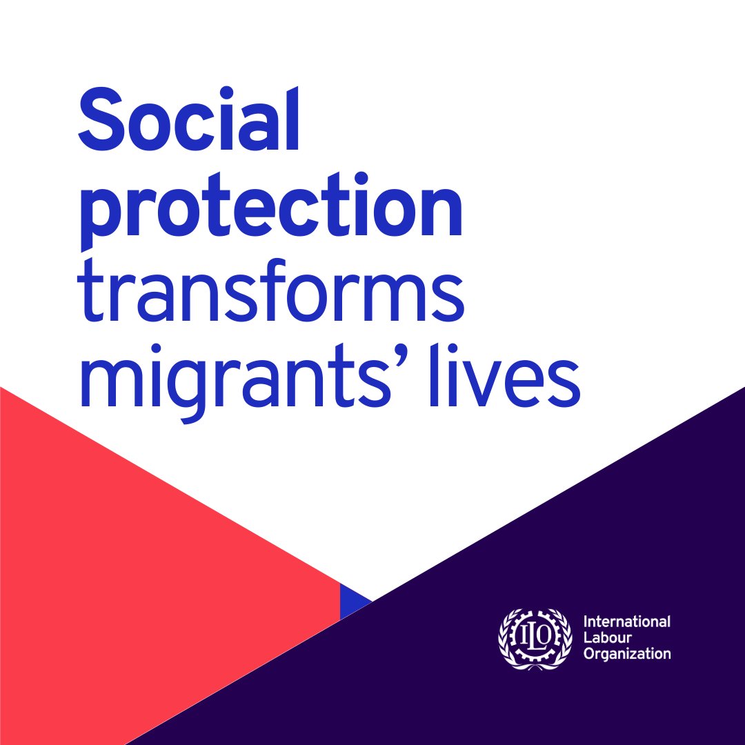 Labore kann man nie genug haben 🦅 Migration und China, wie schaut's da eigentlich aus?! #demoorganraub (dieser Post spiegelt nicht die eigene Meinung wieder sondern lediglich die einer sehr engagierten kleinen Gruppe demokratisch freiheitlich und Grundordnung beachtenden Mensche