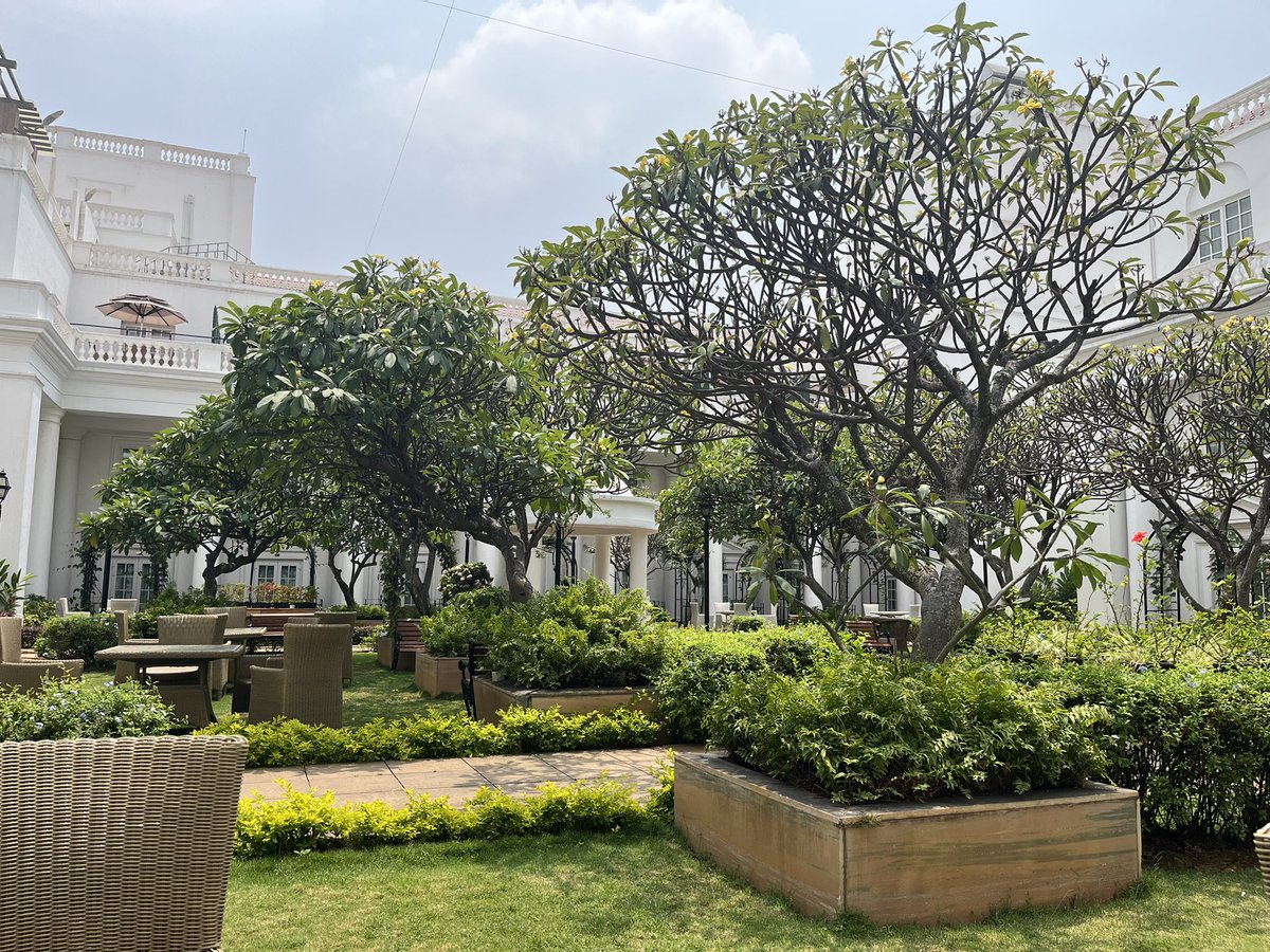 Blessed to be here in the Garden City 🙏😎 #Bengaluru #IPL2025