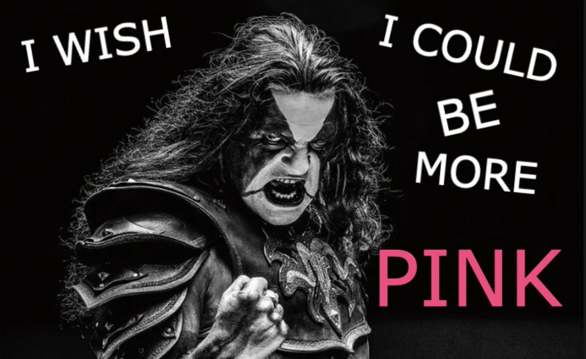 $PINK tweet media
