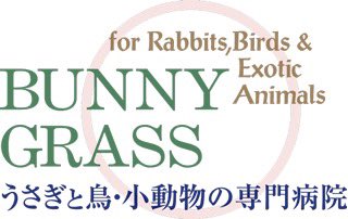 bunnygrasstopic's tweet image. 飼い主様他向け情報収集に役立てばと病気のはなしをポストします。質問も公開可能なものは出来る限りお答えします。
実習希望や就職希望の学生や中途の方は採用専用(@bunnygrasssaiyo)をご参考ください。