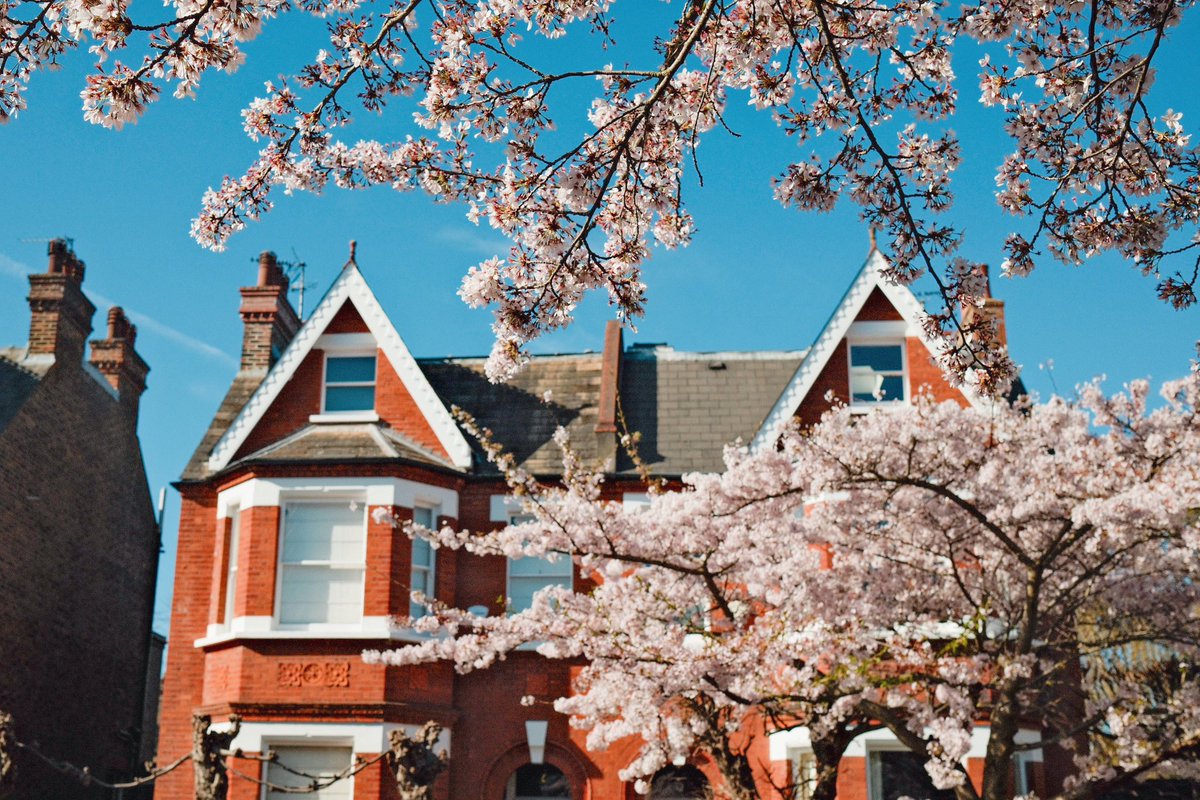 saintzation028's tweet image. Pinkie (wednes)day

วันพุธสีชมพูววววว 😆🌸🌸🌸

#cherryblossoms 
#springinlondon
#springvibe
#londonstreetphoto
#englandintouch