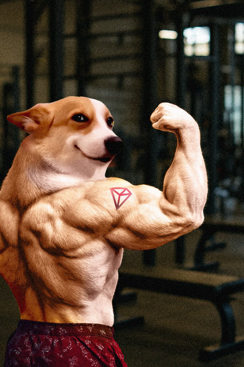 SUNDOG_TRX's tweet image. GM SunDog fam.