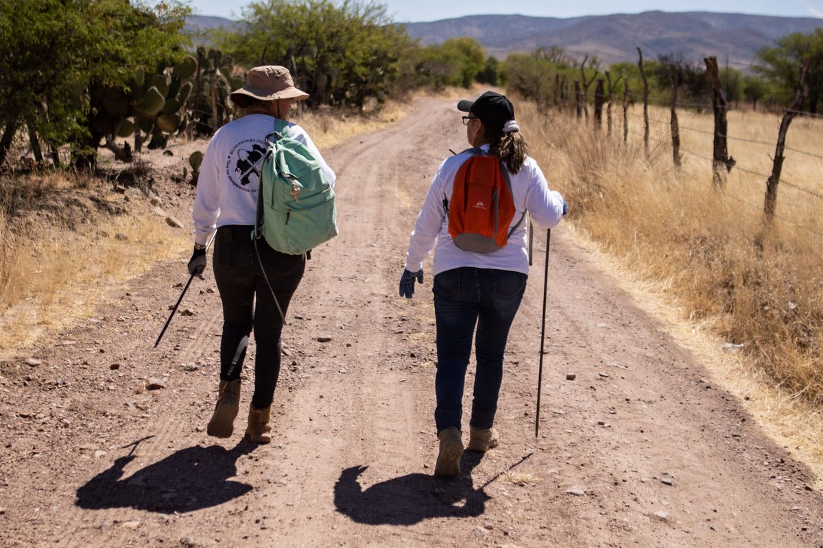 Buscadoras Zacatecas AC tweet media