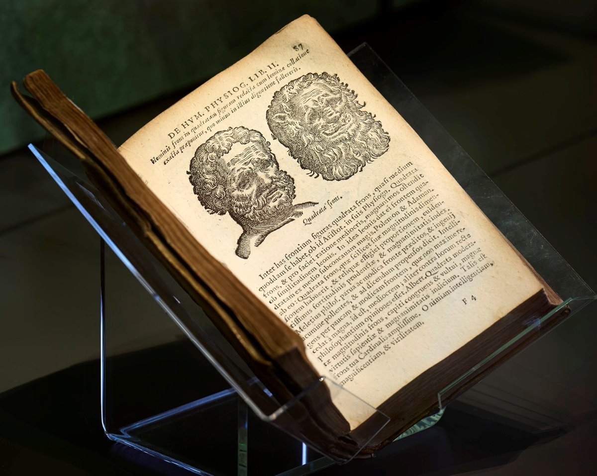 Scholar della Porta used woodcuts of animals to draw parallels and ascribe character traits based on facial features, a practice known as physiognomy. It was once a legitimate and respected science called phrenology. Find out more at our Wild and Tame exhibition