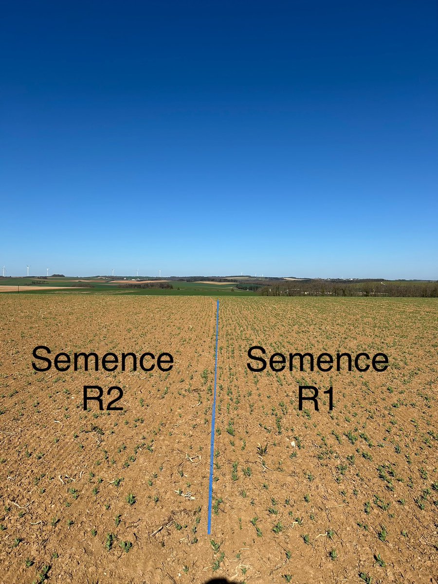 OlivierCOSTE2's tweet image. Y’a pas 📸 @BONNIN1402 😲 .
#VisMaVieDeArc est en tour de plaine chez une #Agriculture @FopProducteurs et dans sa parcelle avec du 🫛 de printemps.
Encore cette année,je fais le constat entre la semence de renouvellement (R1) et celle 
@terresinovia pour le #PlanProtéines (R2).