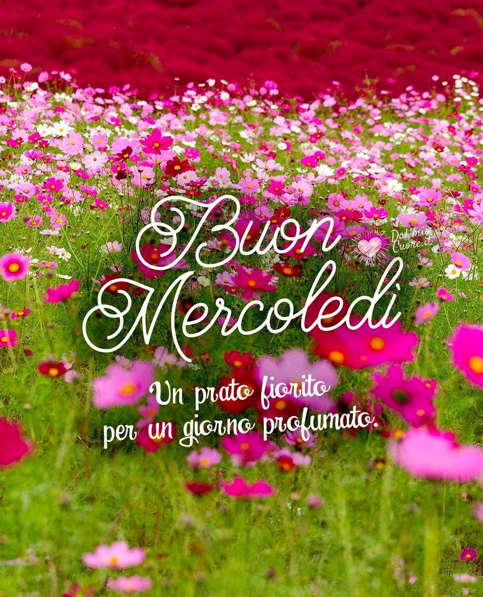 RITABIANCHi56 tweet media