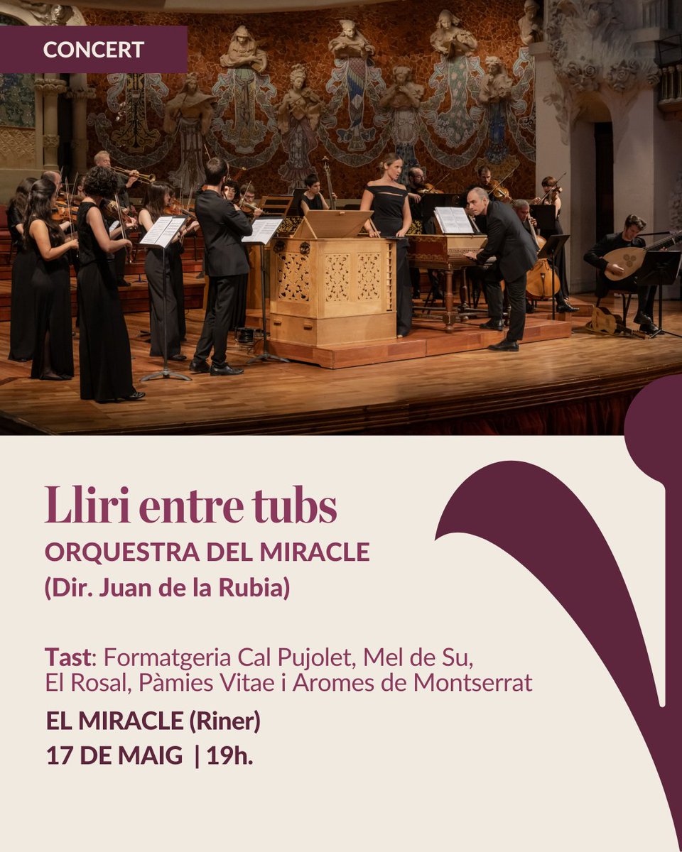 4️⃣ Lliri entre tubs - <a href="/orqmiracle/">Orquestra del Miracle</a>