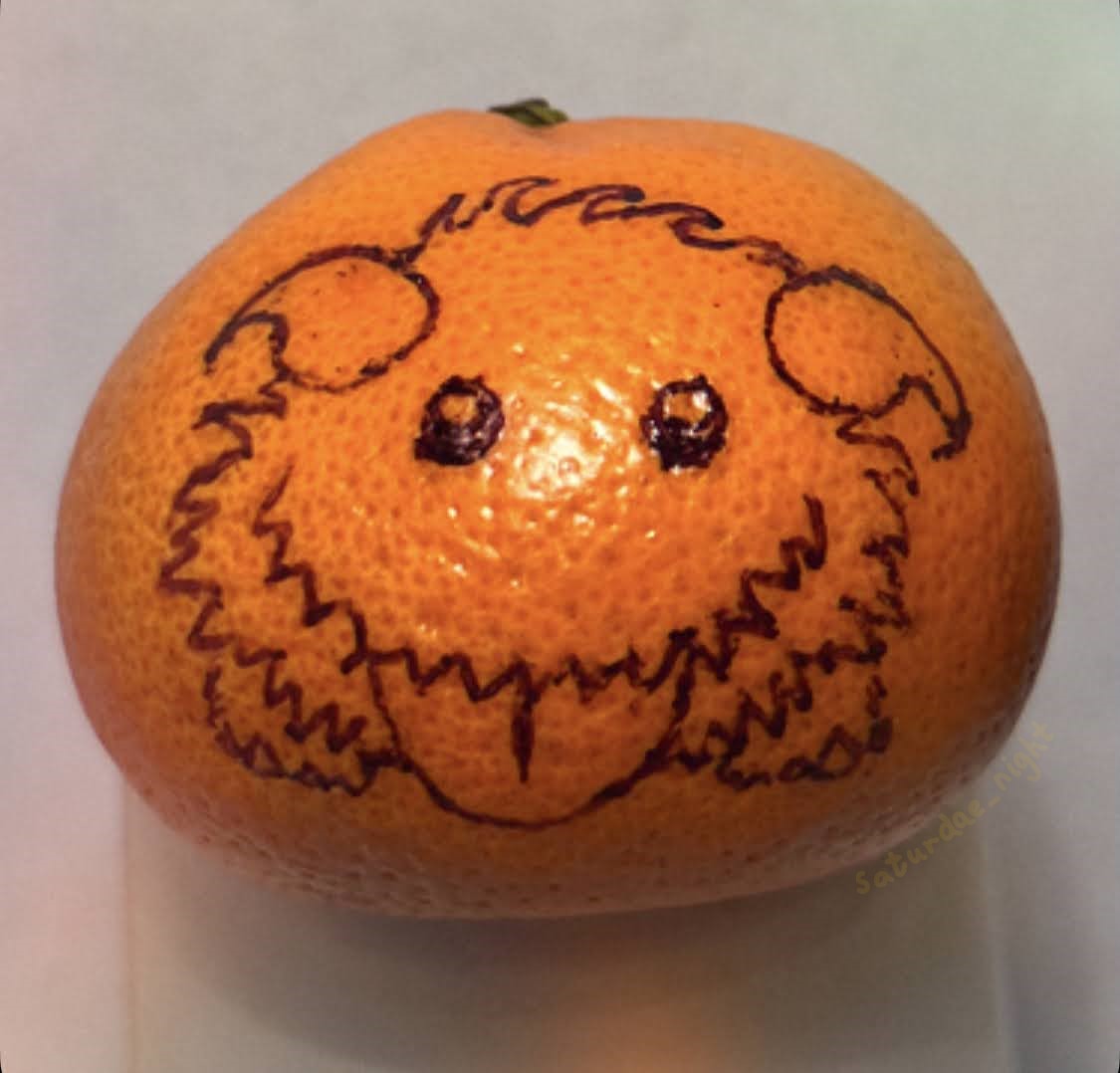 saturdae_night's tweet image. i&apos;m afraid i have evolved into a porange 🍊