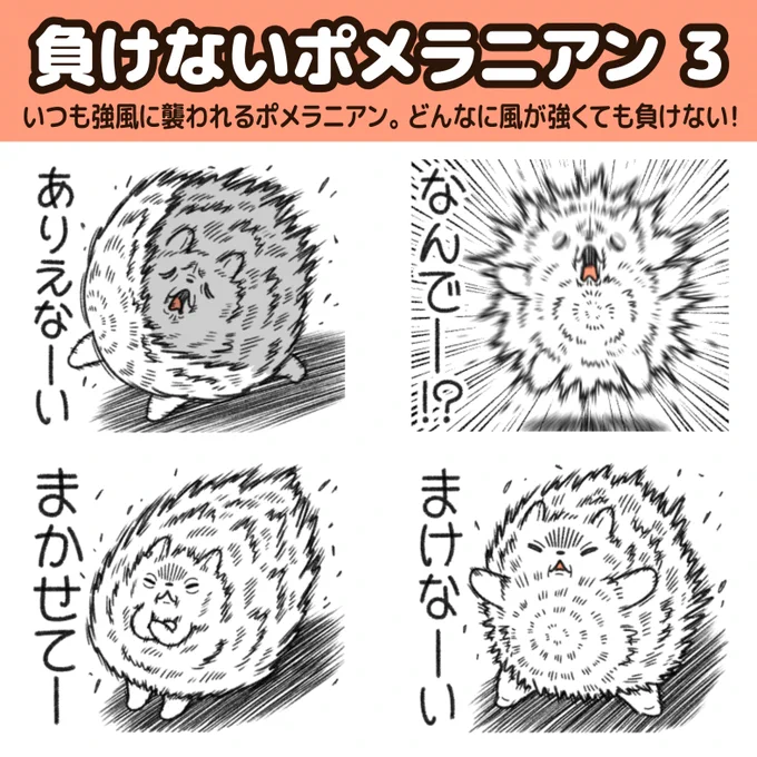 "負けないポメラニアン"の新作LINEスタンプが出た!

いつも強風に襲われるポメラニアン。
どんなに風が強くても負けない!
https://t.co/jVPqWeVoyE 
