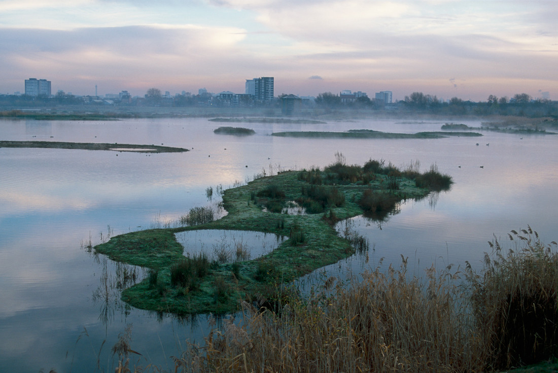 👋 Just popping up on your feed to wish you a good morning from #WWTLondon.

📷: Martin Senior / WWT

#VisitLondon #GoodMorning #Sunrise