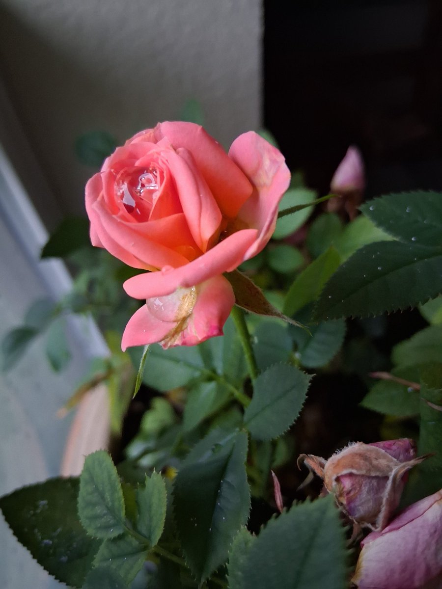 $GoddessRavynRiches don't play with my time play with my cashapp balance. 💅🏼✨️✌🏻