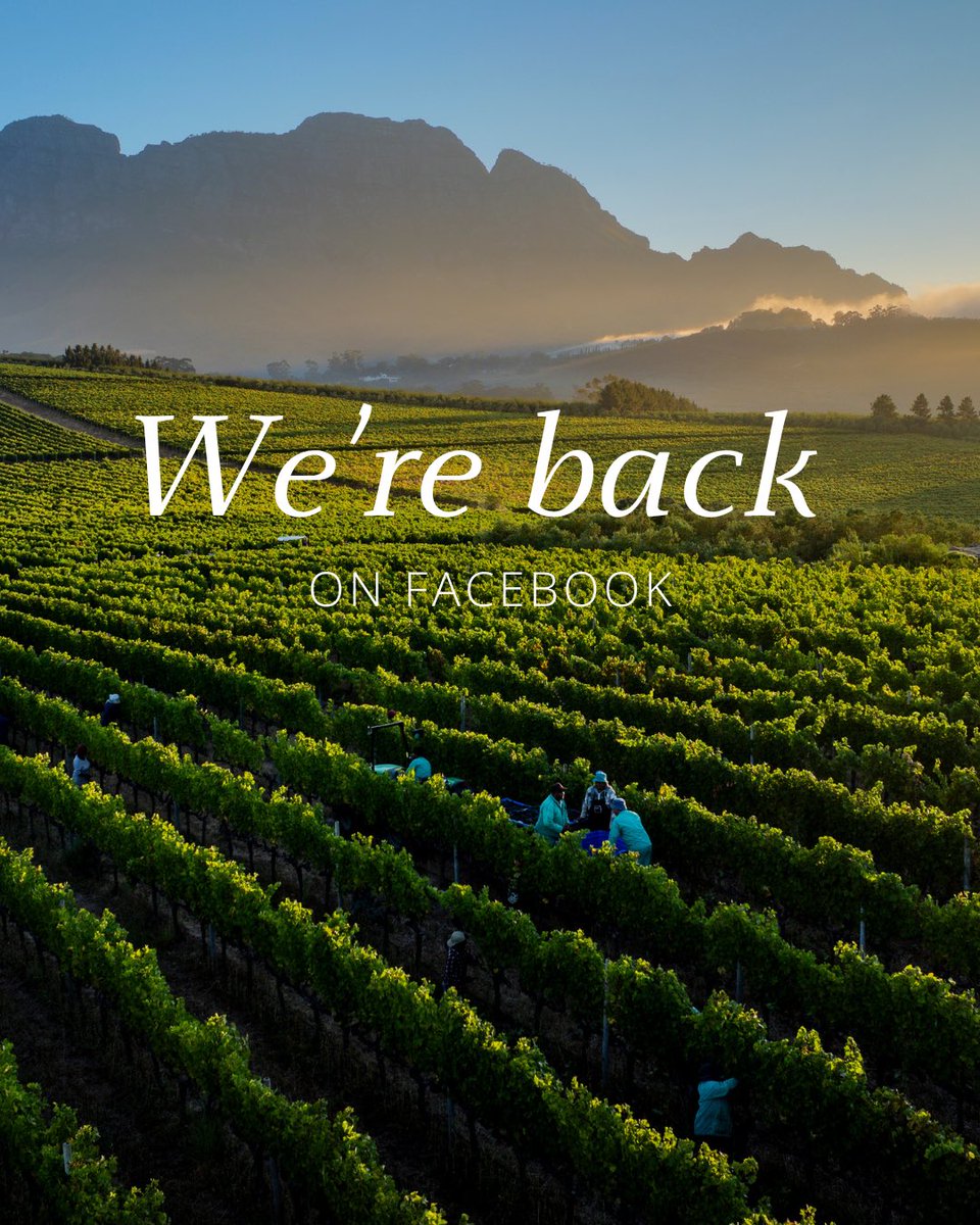 We’re back on Facebook! Due to unforeseen circumstances, we have had to start a fresh new page, but we’re excited to reconnect with you. Follow us on Facebook: facebook.com/glenellyestate… and share with fellow Glenelly fans.