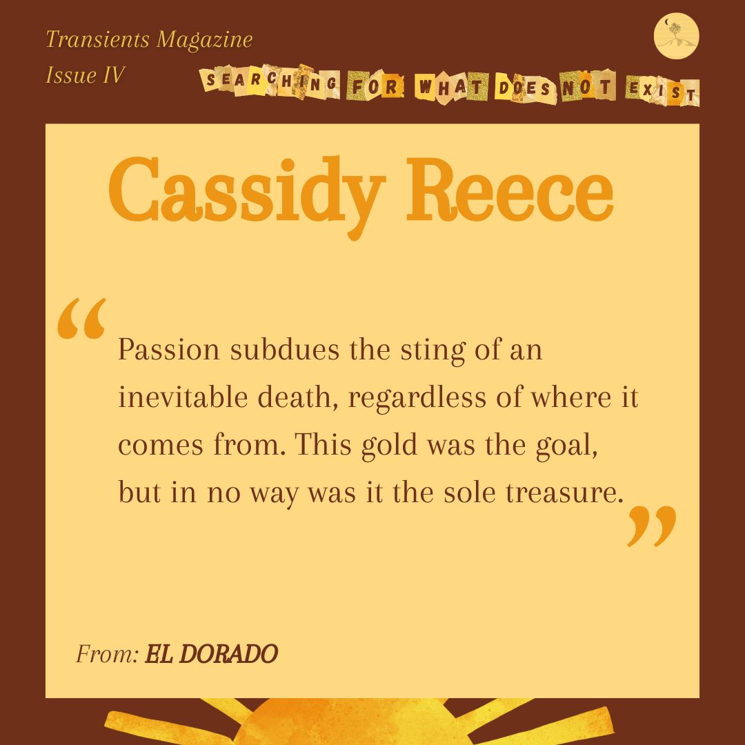 TransientsMag - subs 🌏CLOSED🌎 tweet media