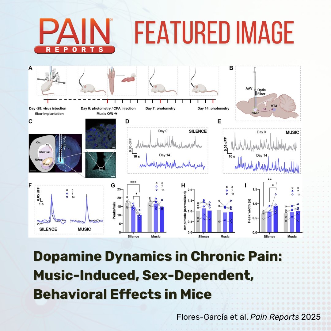 Flores-García et al. find that listening to music increases dopaminergic activity in the mesolimbic pathway and sex-dependent reduction in allodynia and anxiety-like and depression-like behavior. Learn more in #PAIN bit.ly/4hiDlus
