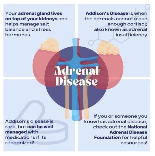 American Association of Endocrine Surgeons (@theaaes) on Twitter photo Join us as the AAES and National Adrenal Diseases Foundation (NADF) host a patient-focused webinar on Thursday 4/10/25 to answer the most pressing questions from patients about adrenal diseases. #AADAM2025 @NADF_adrenal <a href="/TheEndoSociety/">Endocrine Society</a> Join us as the AAES and National Adrenal Diseases Foundation (NADF) host a patient-focused webinar on Thursday 4/10/25 to answer the most pressing questions from patients about adrenal diseases. #AADAM2025 @NADF_adrenal <a href="/TheEndoSociety/">Endocrine Society</a>