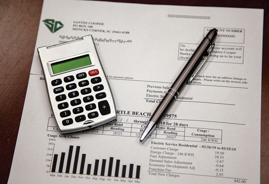 santeecooper's tweet image. Less clutter, more savings! Embrace the paperless revolution this spring, and you could be chosen to be rewarded with a $25 bill credit. #SpringCleaning #GoPaperless