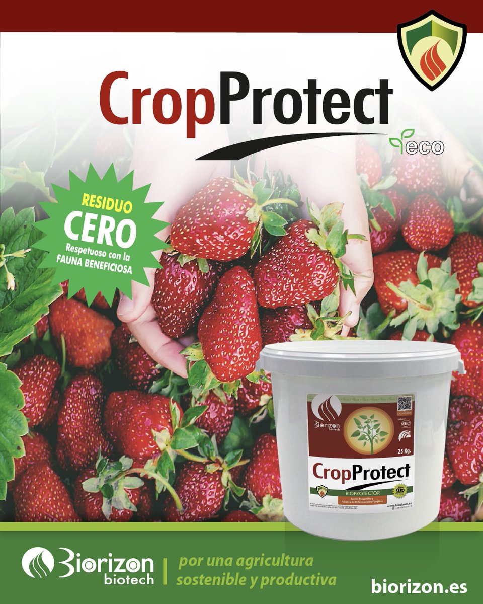 🚨 Alerta RAIF vía PHYTOMA: Debido a las lluvias, sube la botritis en fresa de #Huelva 
💚 Protege tus cultivos con CROPPROTECT:
Natural, sin residuos, refuerza defensas ante la humedad de tus cultivos
Confía en Biorizon Biotech.
#Botritis #Fresa #RAIF #CROPPROTECT
