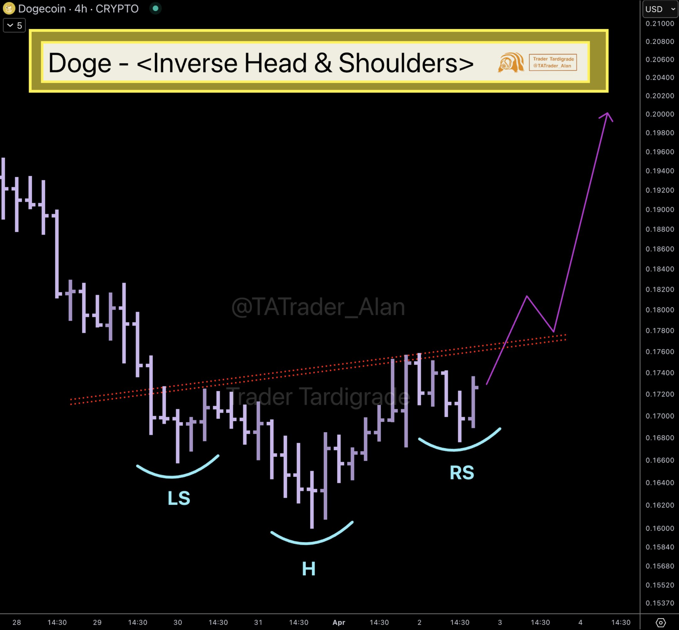 Dogecoin Inverse Head and Shoulders Trader Tardigrade