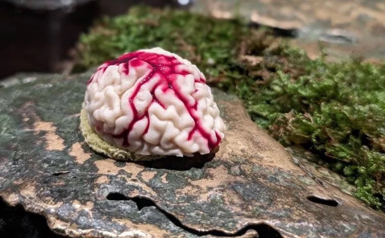 Molecular Gastronomy 
Nirvana or Puegatory?
open.substack.com/pub/xtremefood…