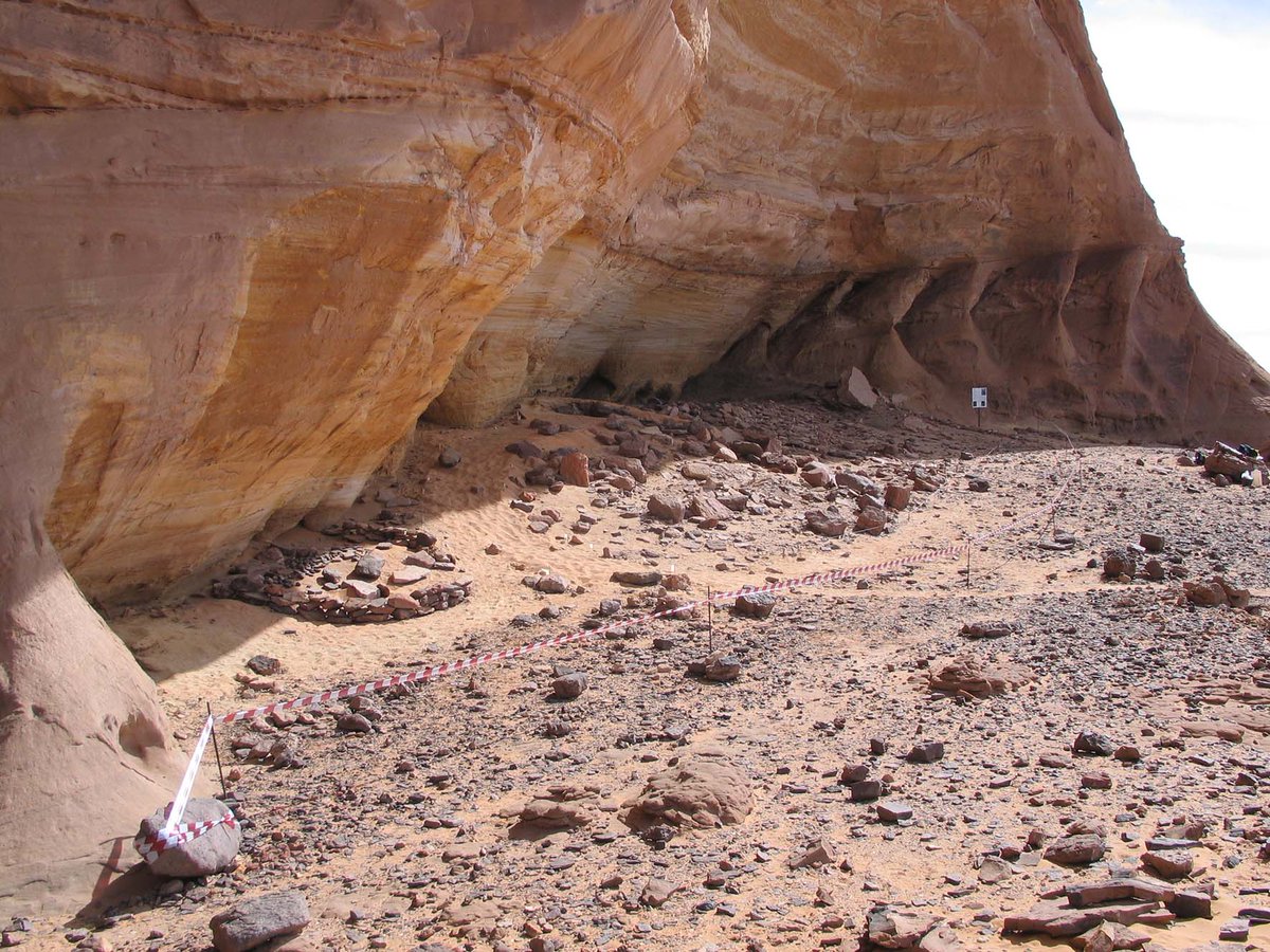Ancient #genomes from the Green #Sahara. Study led by Nada Salem, <a href="/HaraldRingbauer/">Harald Ringbauer</a> &amp; Johannes Krause reveals a long-isolated North African #human lineage in the Central Sahara during the African Humid Period over 7,000 years ago. tinyurl.com/43maxc7k &amp; nature.com/articles/s4158…