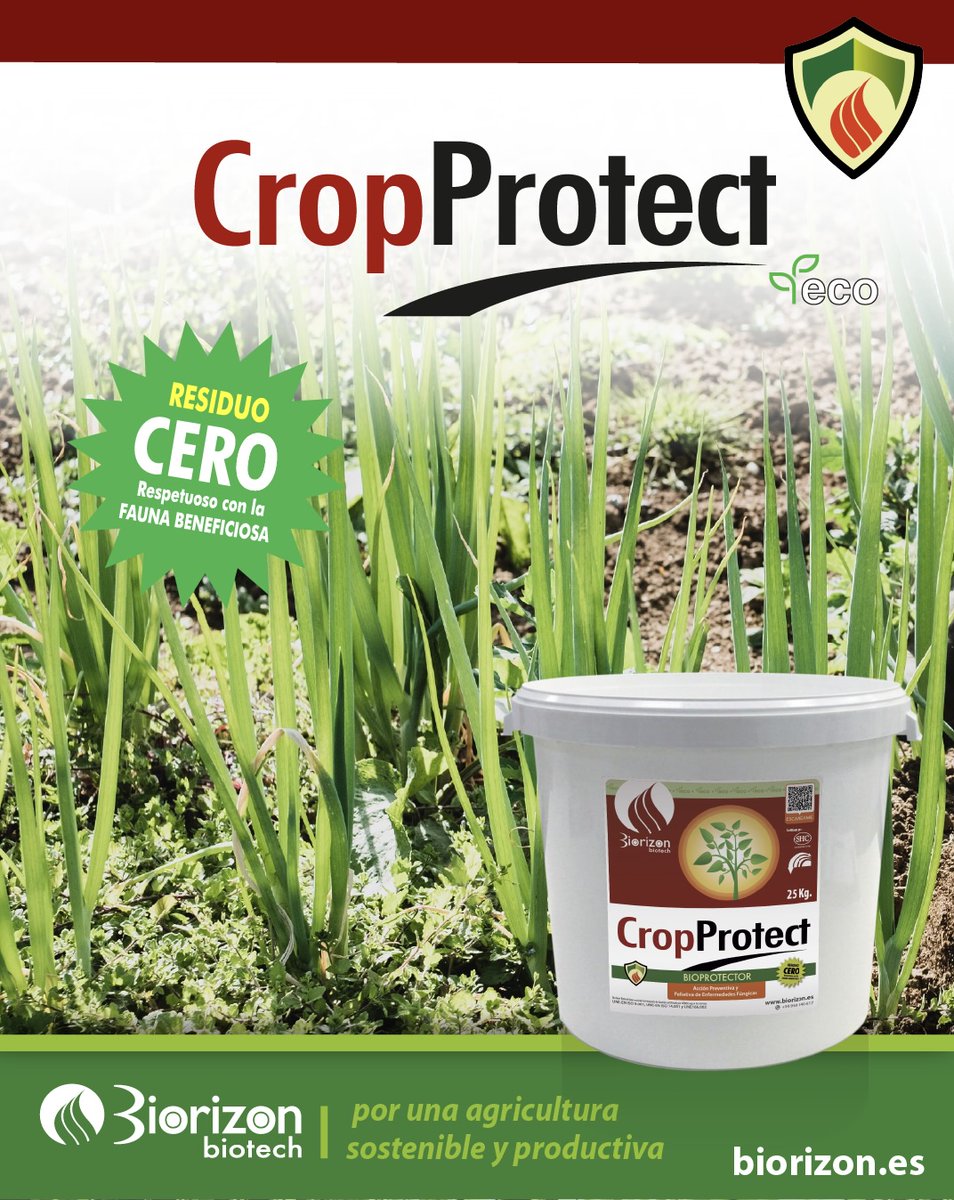 ⚠️ RAIF alerta sobre mildiu tras lluvias en cebolla valenciana (vía PHYTOMA).
🌿 CROPPROTECT refuerza la planta ante patógenos.
Cero residuos, máxima eficacia.
Confía en Biorizon Biotech.
#Mildiu #Cebolla #RAIF #AgriculturaNatural #CultivosdeValencia