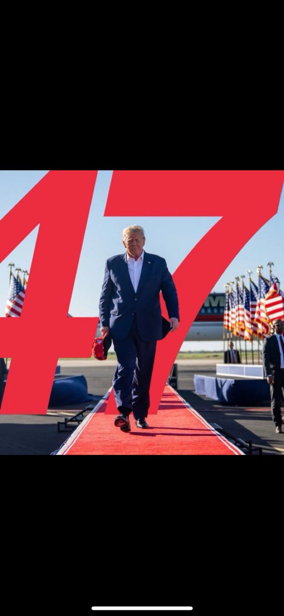 louis 🇺🇸 tweet media