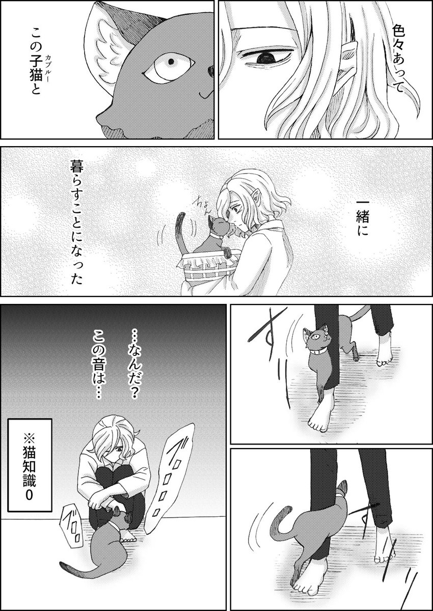 カブミス『かぶるーくんと一緒』1
猫カブと暮らすことになったミスのお話