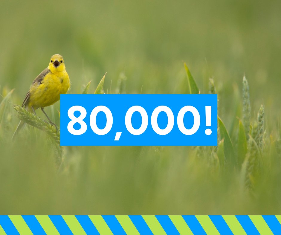 Backing nature-friendly farming could save the UK billions of £.

Over 80k of you are now showing your support.
Farming needs more funding, not less.

Add your voice 👇
action.rspb.org.uk/page/156168/pe…