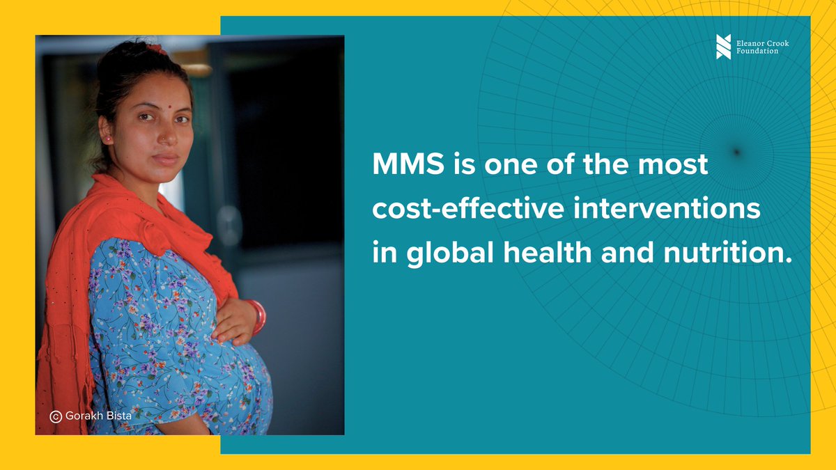 Millions of babies are born underweight, premature, or stillborn each year because their mothers lack essential nutrients during pregnancy.

Multiple micronutrient supplements (MMS) are a proven, cost-effective solution that could:

 💊 Reach 260M pregnant women by 2030
 💊 Save