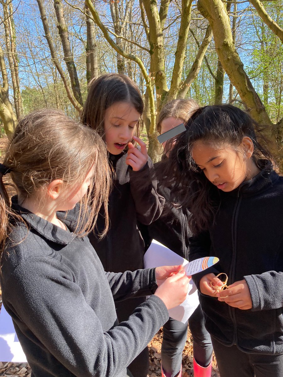 PipersForestSch's tweet image. Year 4 had a fun final Forest School session and were eggcellent at completing all the challenges on our Easter Scavenger hunt! 🥚🔍👍🏻😊 #teamwork #outdoorlearning #pipersprep