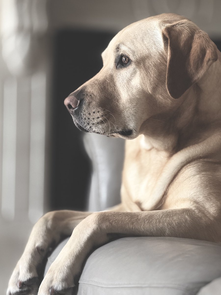 Overthinking everything since breakfast.