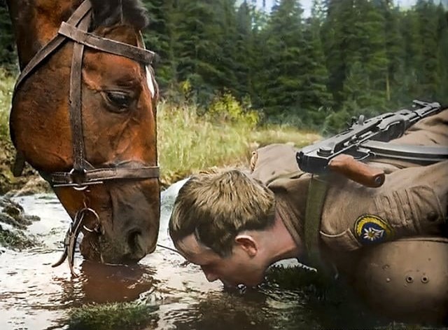 Drink where the horses drink, they never choose bad water.
Sleep where the cat sleeps, it seeks calm and comfort.
Eat the fruit that a worm has touched but not penetrated, it always finds the ripest fruit.
Plant your tree where the mole digs, the soil there is fertile.

Read more