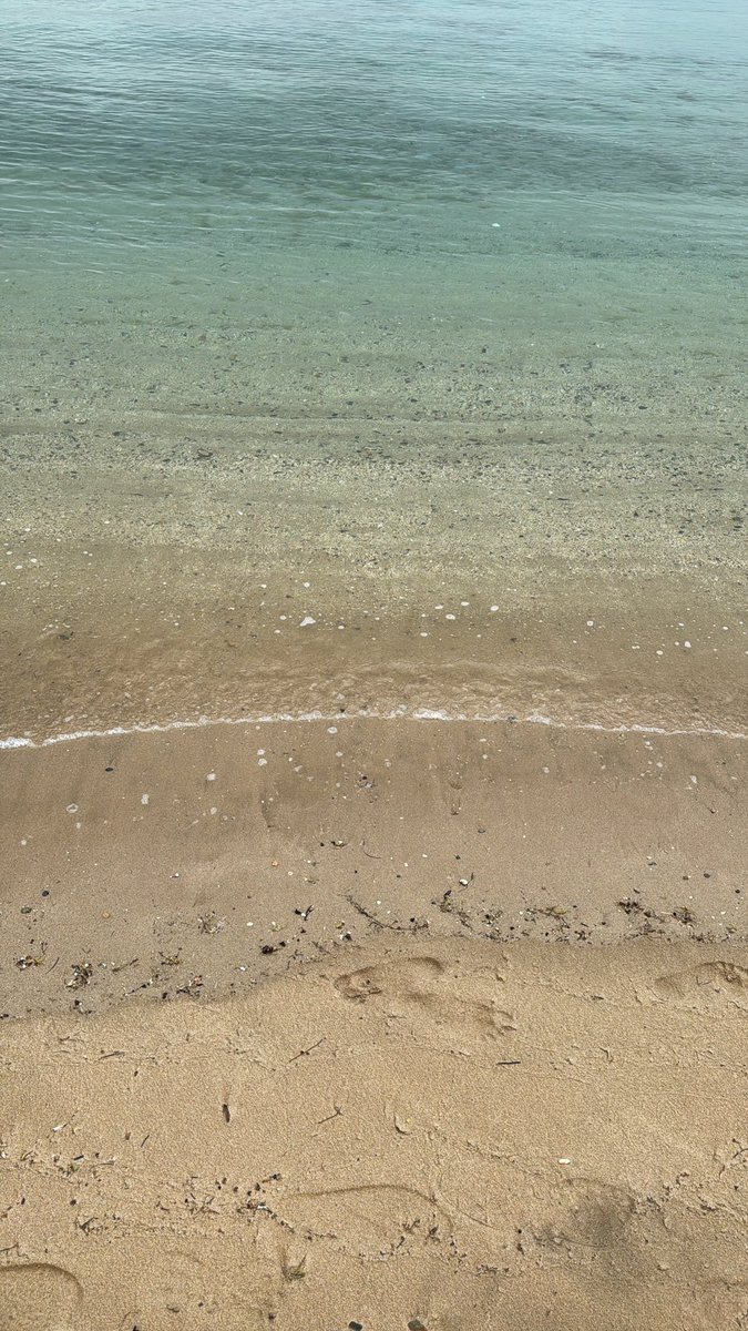 شاطئ سعودي 🏝️🇸🇦