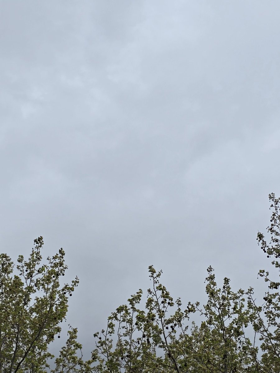 Un cel gris de primavera!!🌫
13°C, humitat del 98%
#reus #celgris #sky #spring <a href="/1967fct/">EL CLIMA EN TIEMPO REAL</a> <a href="/ecazatormentas/">Cazatormentas</a> <a href="/StormHour/">#StormHour</a> <a href="/JRovireta/">Jordi Rovira</a> <a href="/SeguimlaMeteo/">Seguim la Méteo</a> <a href="/javioru/">Javi Martinez</a> <a href="/SomosMeteo/">SomosMéteo</a> <a href="/SoniaPapell/">Sònia Papell</a> #bondia <a href="/Alex_MeteoM/">AlexMeteoM</a>
