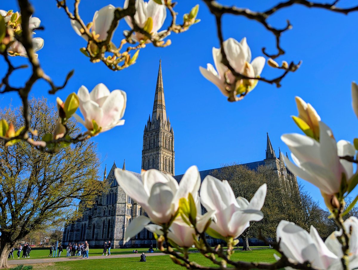 Springtime in Salisbury <a href="/journalupdate/">Salisbury Journal</a> <a href="/SalisburyCath/">Salisbury Cathedral</a>