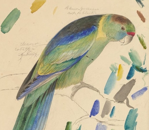 Please take a look at my conversation with the fabulist Suniti Namjoshi, ‘Birds Talk Back’. Your thoughts and comments are most welcome! 😊 research.kent.ac.uk/rethinking-fab…