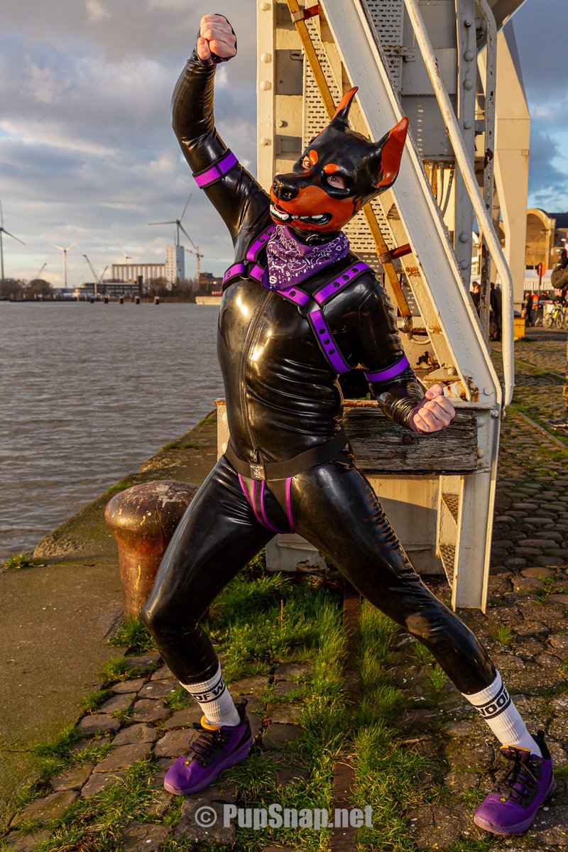 📸: <a href="/PupSnapUK/">Pup Snap 📸🐾</a>