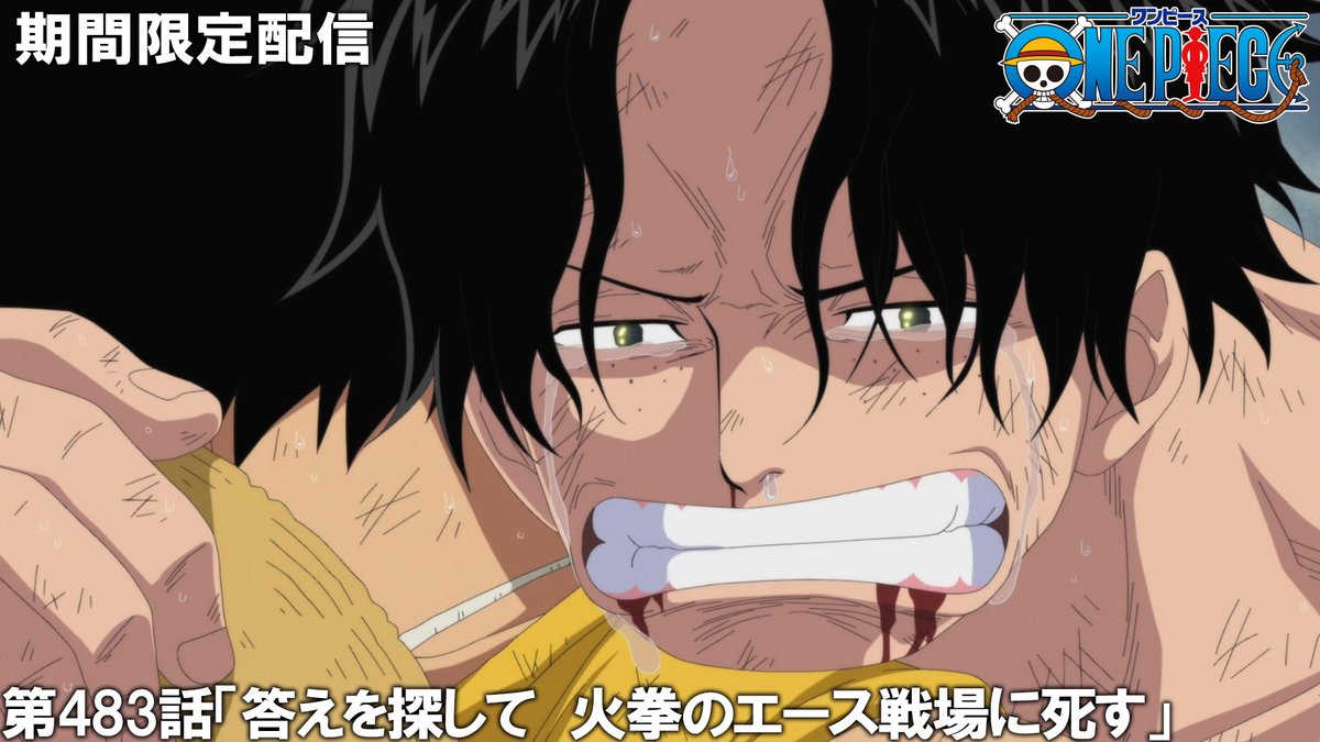 ✖️6日（日）プレミア公開🔥】 『ONE PIECE』 全8話を期間限定で配信