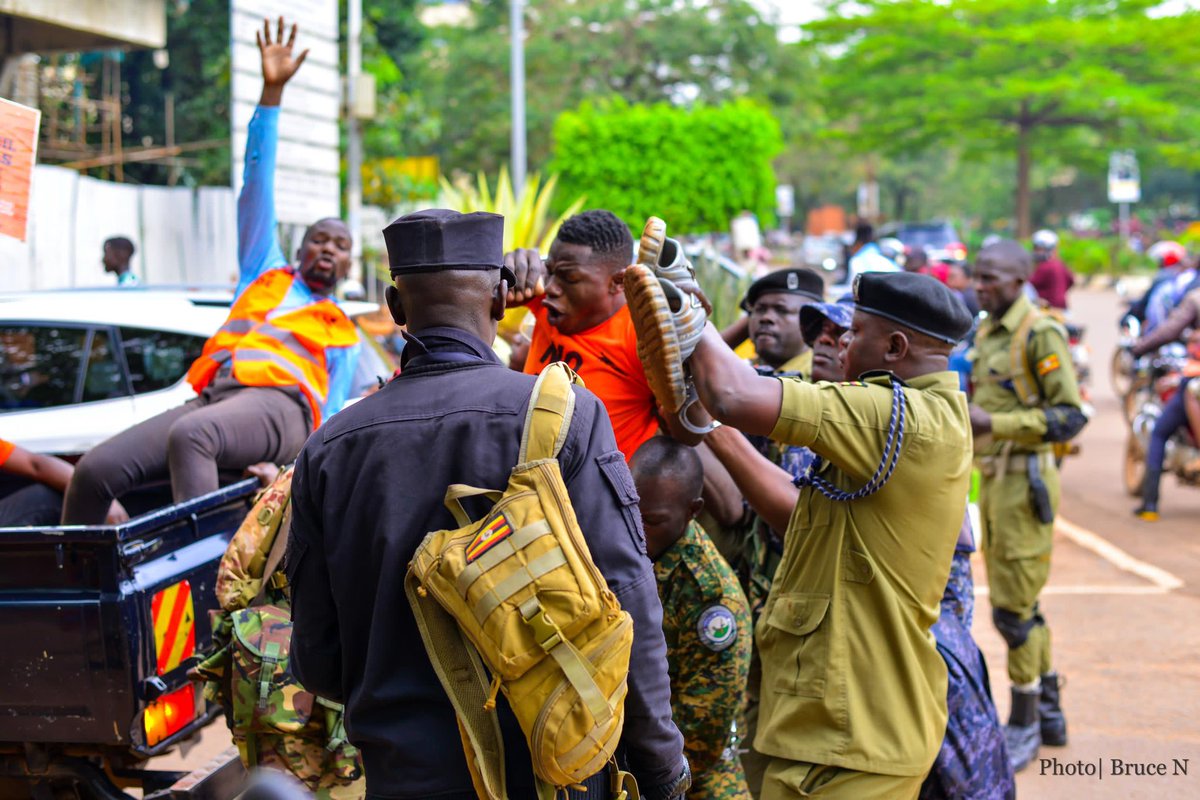 Rooted in Resistance📢 tweet media