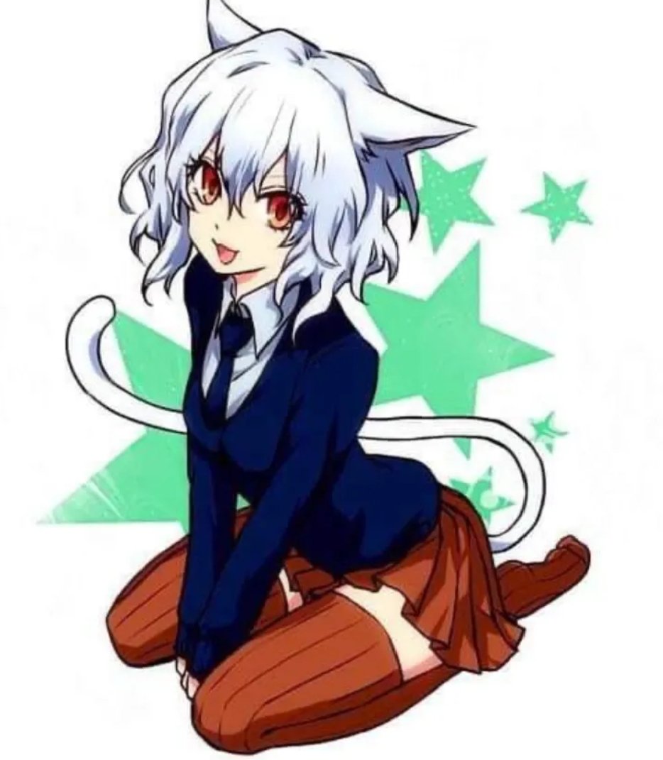 Daily Neferpitou (@daily_pitou) on Twitter photo 