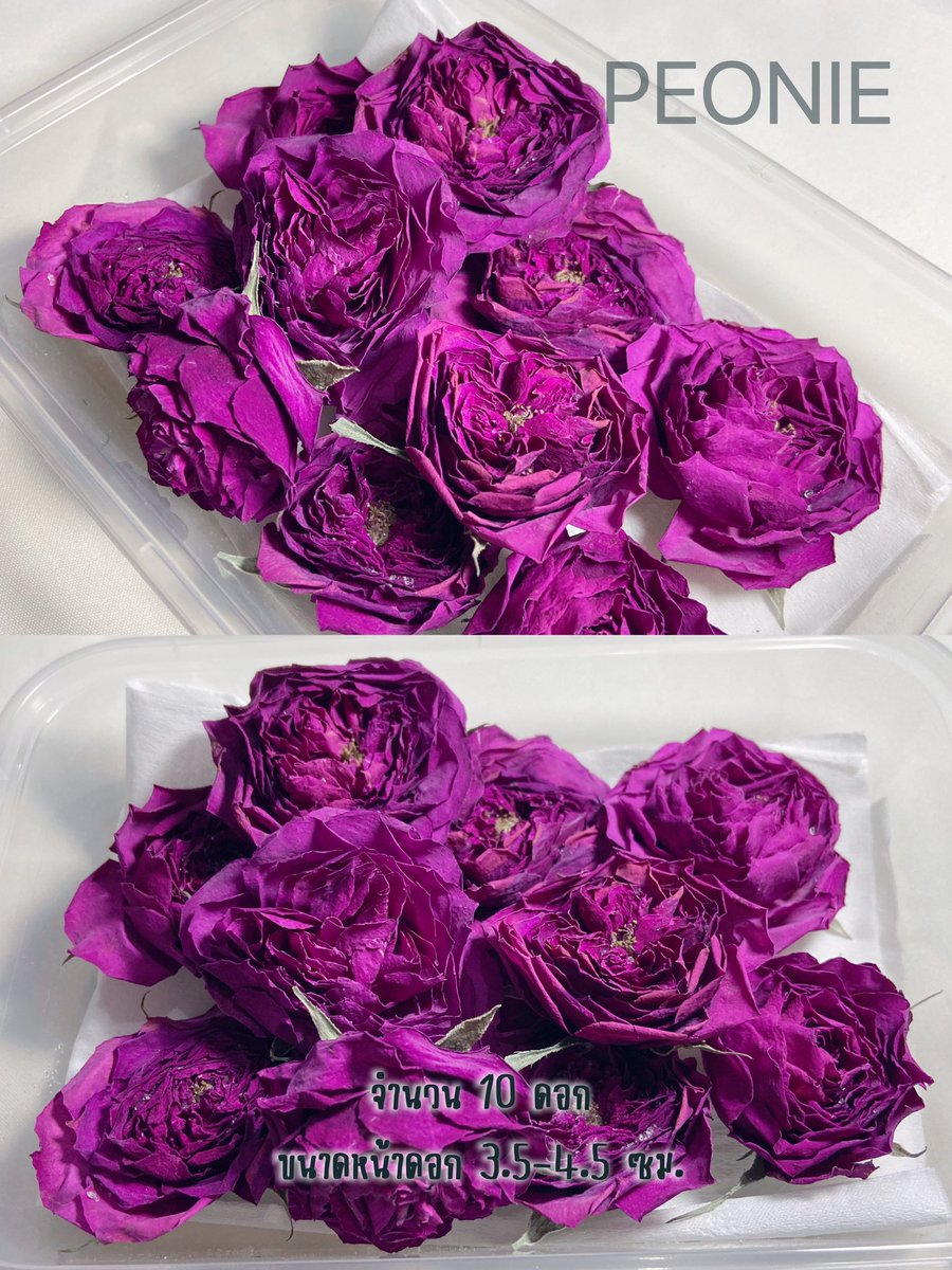 s.shopee.co.th/AKMwI42wdu
ดอกกุหลาบอบแห้ง