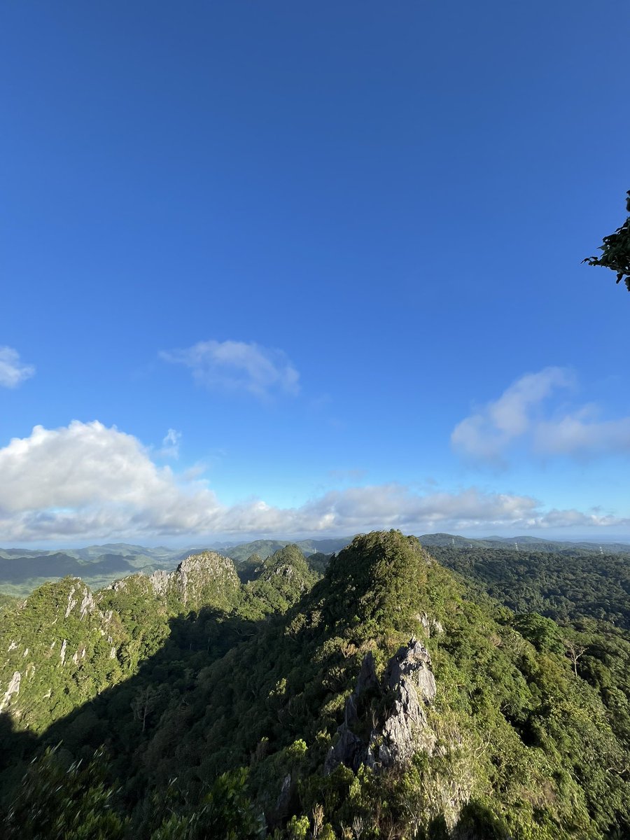 Simonseemoon's tweet image. 