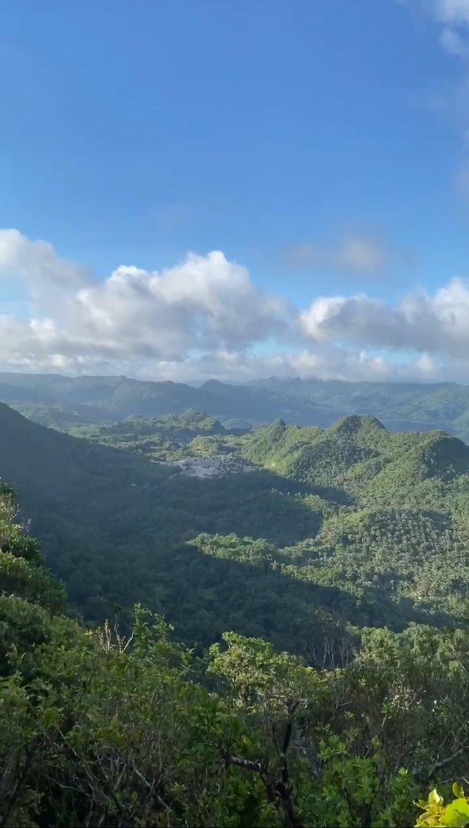 Simonseemoon's tweet image. 