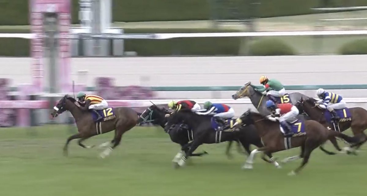 ◆大阪杯 メモ②
.
・ステレンボッシュ