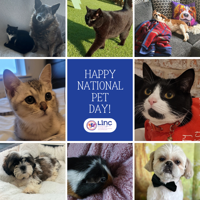 LINC_programme's tweet photo. Today is National Pet Day, and weโre celebrating the loyal companions who brighten our days! From wagging tails to purring cuddles, our pets bring joy in so many ways.
Swipe to meet some of the LINC Teamโs adorable pets! ๐ถ๐ฑ๐พ
#NationalPetDay #FurryFriends #LINCProgramme https://t.co/sFKBJqLf9k