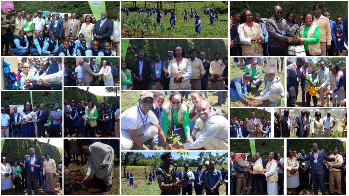 𝗞𝗘𝗣𝗦𝗔 𝗙𝗢𝗨𝗡𝗗𝗔𝗧𝗜𝗢𝗡 𝗟𝗔𝗨𝗡𝗖𝗛𝗘𝗦 𝗧𝗛𝗘 𝗧𝗛𝗜𝗥𝗗 𝗧𝗥𝗘𝗘 𝗡𝗨𝗥𝗦𝗘𝗥𝗬 𝗔𝗧 𝗦𝗧. 𝗘𝗟𝗜𝗭𝗔𝗕𝗘𝗧𝗛 𝗚𝗜𝗥𝗟𝗦, 𝗖𝗛𝗘𝗣𝗞𝗨𝗡𝗬𝗨𝗞 𝗡𝗔𝗡𝗗𝗜

Read on: foundation.kepsa.or.ke/kepsa-foundati…

#climatechange
#privatesectortreeplanting
#environmentalsustainability