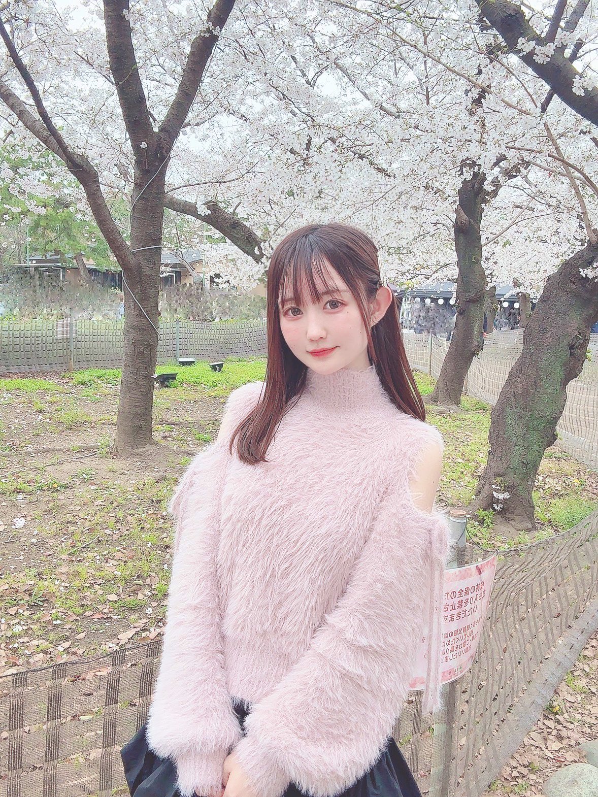 🐥向日葵 きほ🌻 6/29ライブしますよ (@himari_Yumeiro) / X