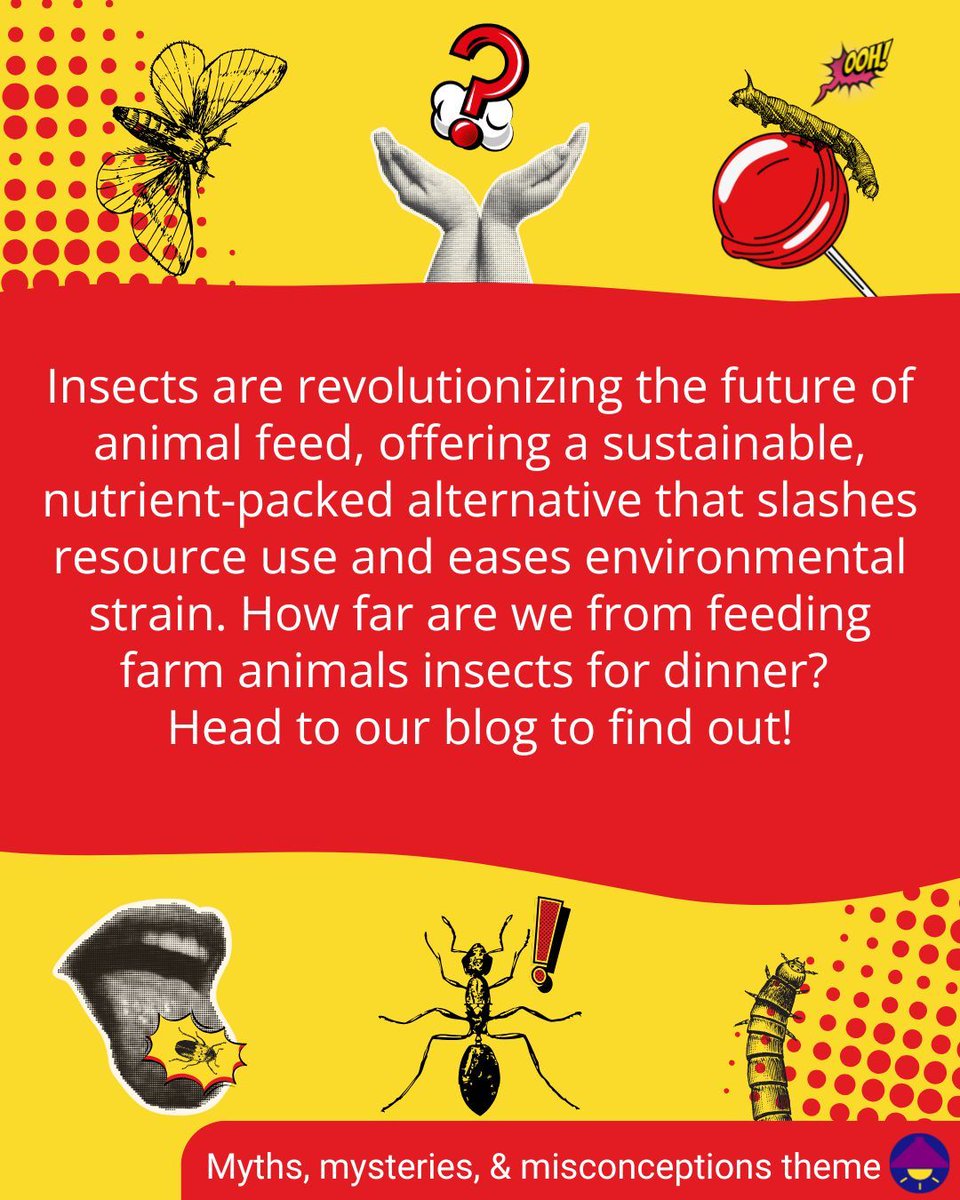 Insects for Dinner? The Future of Animal Feed 
This article is part of our “Myths, mysteries, and misconceptions” theme and is written by Sofia Christou at The University of Salford. Read the full article and how to become a contributor on our website: buff.ly/hH0KXHO