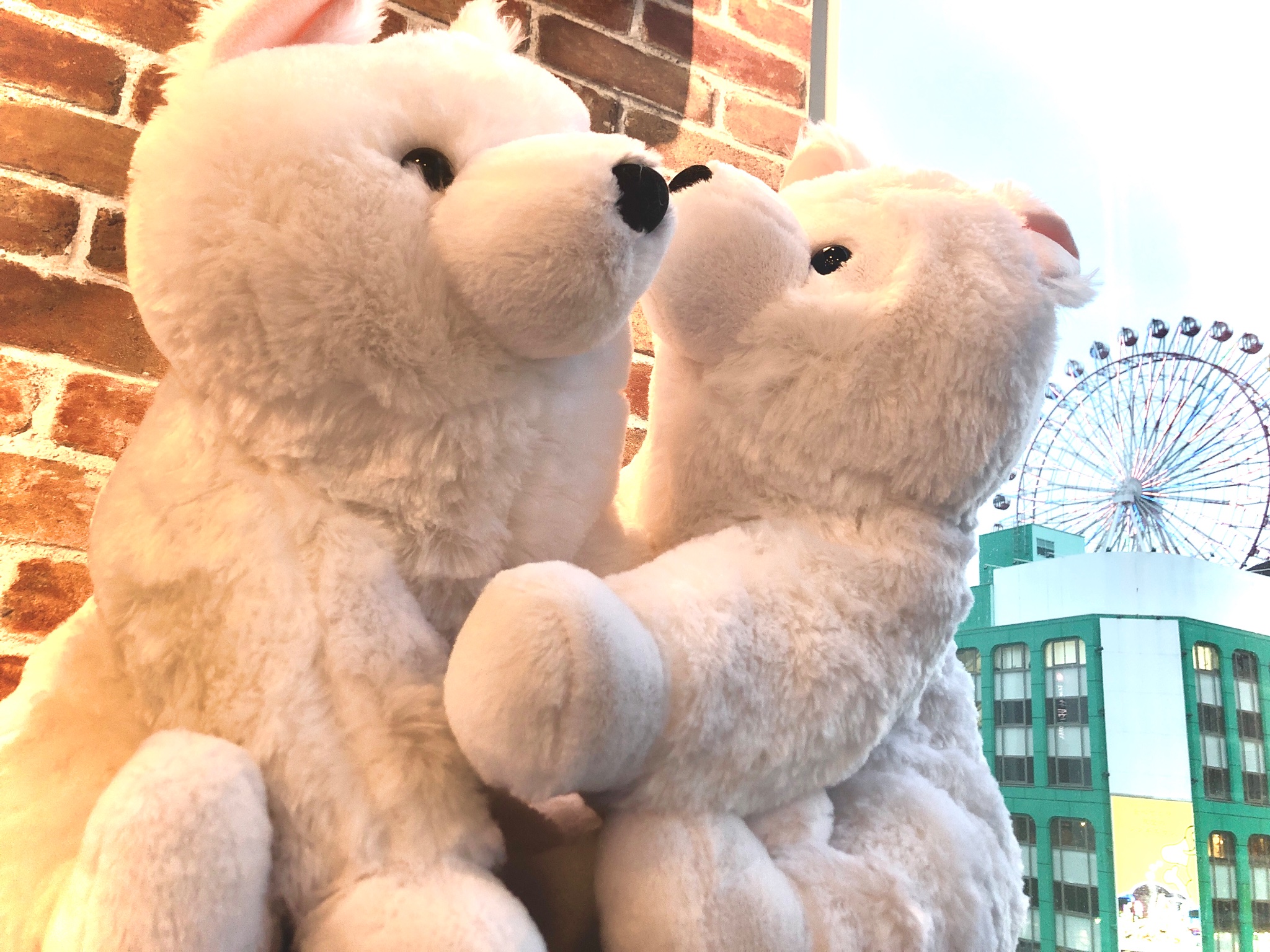 くったりサモエドくん - Search / X