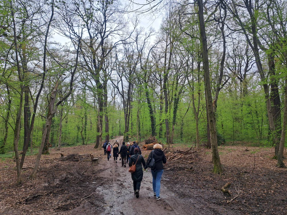 IsidoraIda's tweet image. Attended an inspiring excursion on forest restoration after the windbreak at Nature Park Medvednica, followed by a live TLS (LiDAR) demonstration at Park Forest Dotršćina — showcasing innovative tools for forest monitoring and restoration. 🌳#TRANSFORMIT
